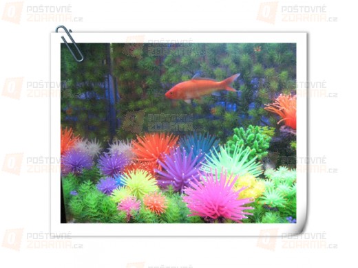 Dekorace do akvária korál - 6 barev