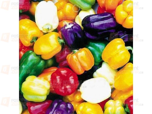 20 semínek různobarevné sladké papriky