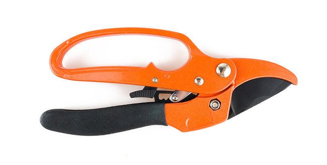 Zahradnické nůžky - 20 cm 1