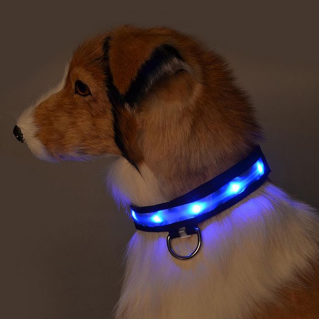 LED svítící obojek pro psy - 5 barev 1