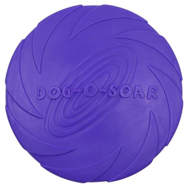 Dog frisbee Jessica 1