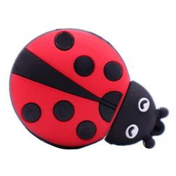 USB flash disk B06897