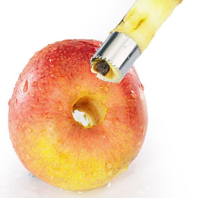 Odstraňovač jablečného jádřince 1