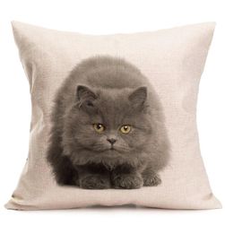 Poszewka na poduszkę z kotem - 6 wariantów