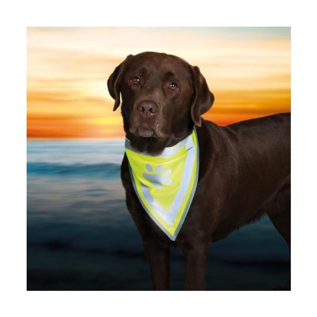 Reflexní vesta - šátek pro psy do 15 kg ZO_57826 1