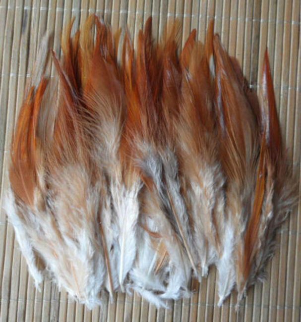 Okrasno barvno perje 50 kosov / 10 - 15 cm - različne barve 1
