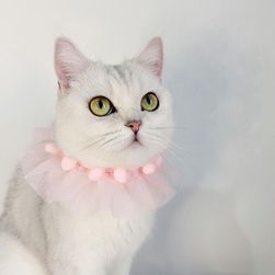 Cat collar TF3307