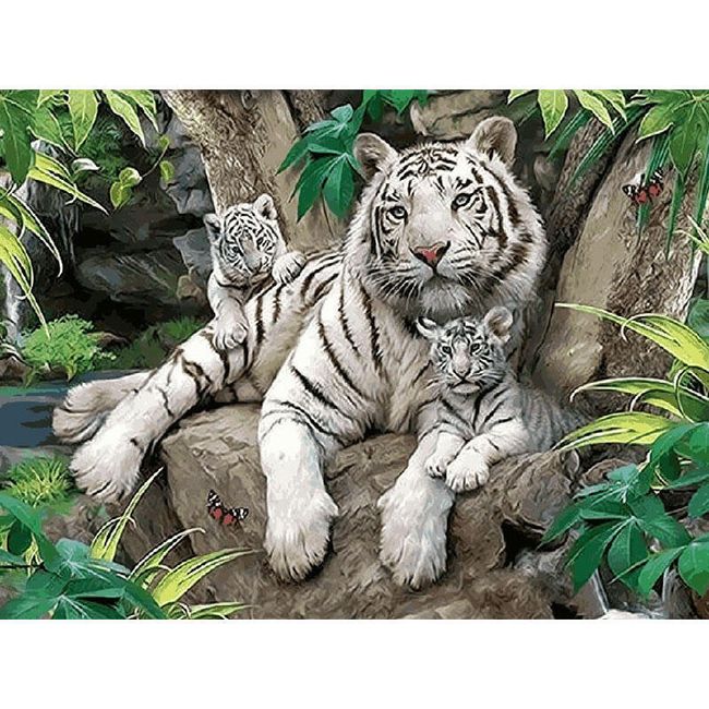 DIY obraz k vybarvení - bílí tygři 1