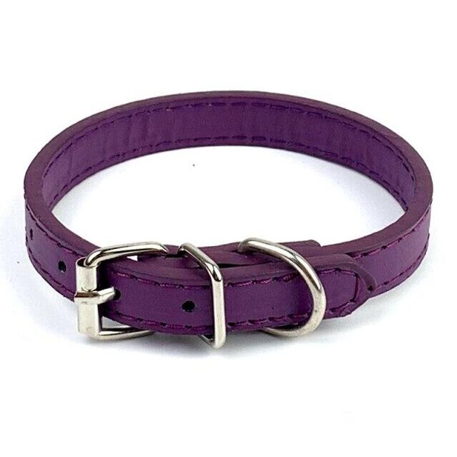 Pet collar B015875 1