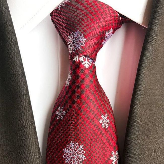 Pánská kravata Edward 1