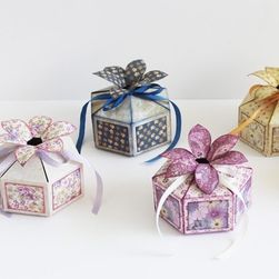 Šablona pro scrapbooking Dv45