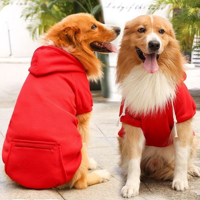 Dog hoodie Renold 1