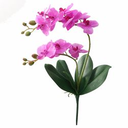 Umjetna orhideja - 6 varijanti