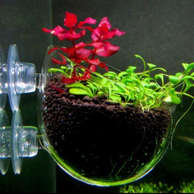 Aquarium flowerpot A58 1