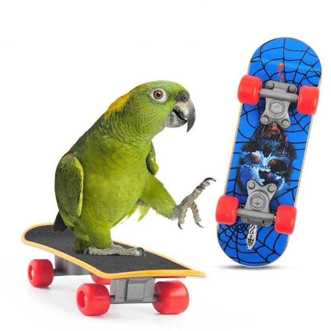 Скейтборд за папагал TF4107 1