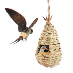 Bird's nest TV304