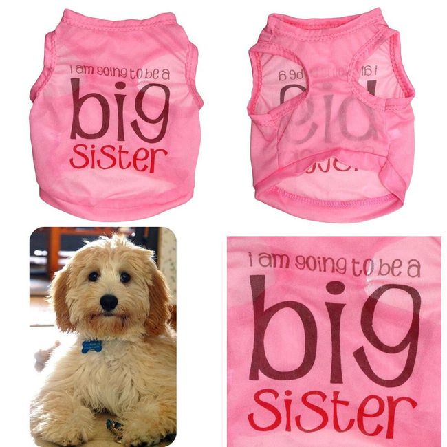 Costum pentru câini - Big sister 1
