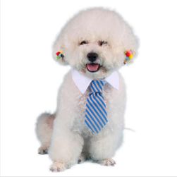 Obroża dla psa - krawat