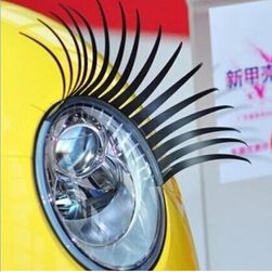 3D car eyelashes IM199