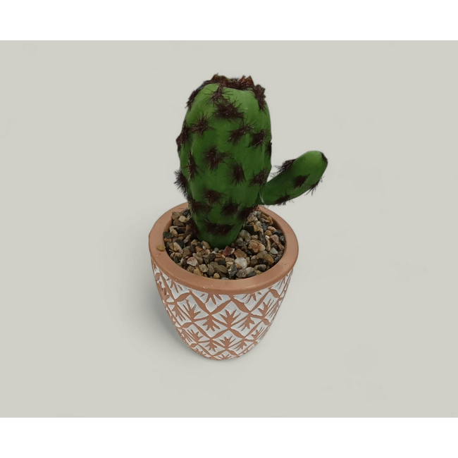 Malý kaktus v kvetináči ako skutočný ZO_272192 1