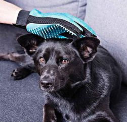 Двустранна ръкавица за четкане на кучета и котки