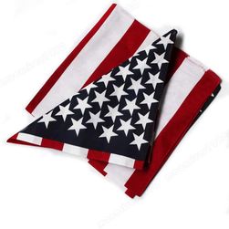 Sál USA zászlóval