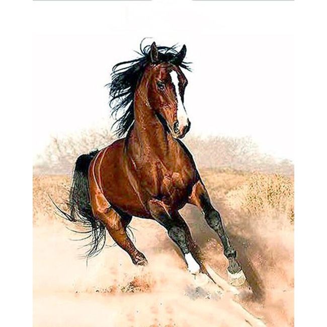 Běžící kůň - vymaluj si sám 1