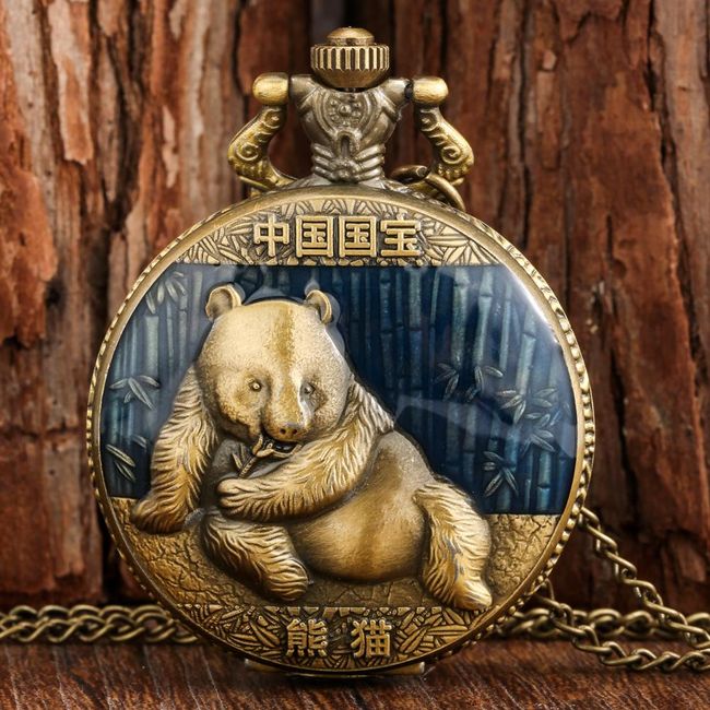 Pocket watch HO5 1