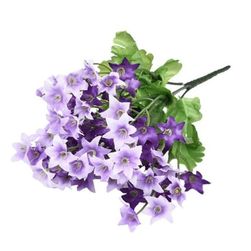 Művirágok Violet