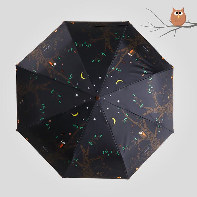 Bajkowa parasolka - Las ożywa w nocy 1