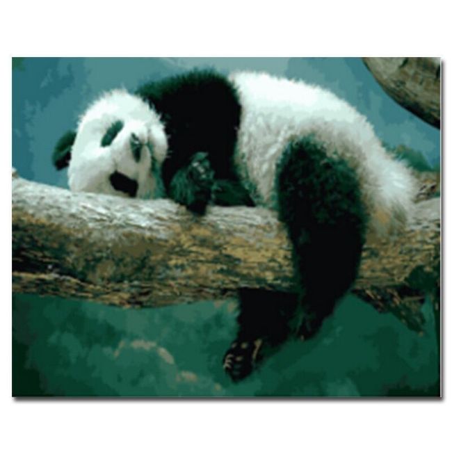 Malování podle čísel - ležící panda 1