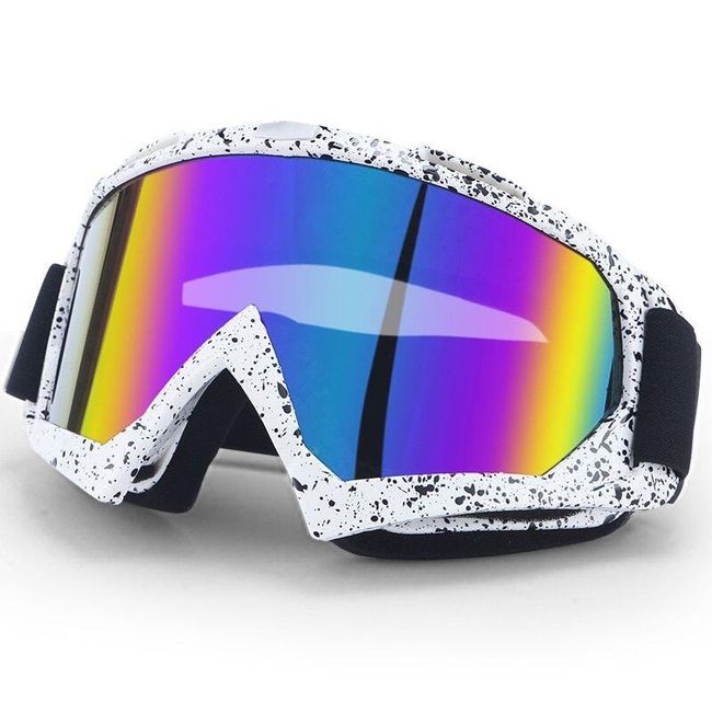 Ochelari de schi Ross 1