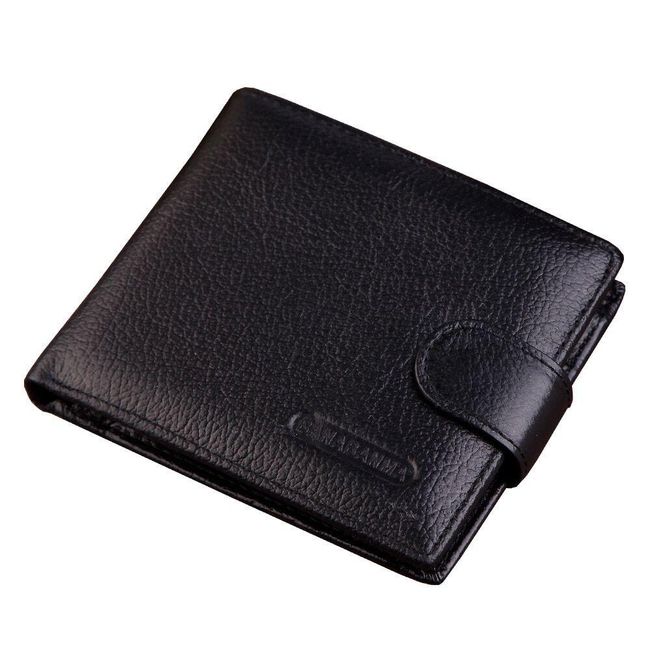 Men's wallet Stephens 1