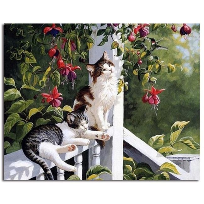 Malování podle čísel - kočičky na verandě 1