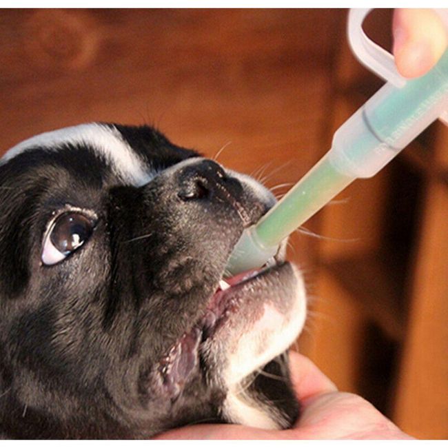 Injekční stříkačka na léky pro domácí zvířata Ringo 1