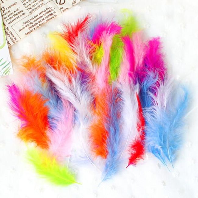 Colourful feathers IR519 1