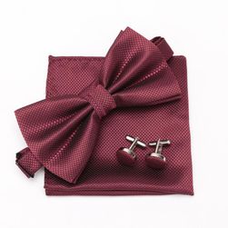 Men's bow tie and handkerchief WW40