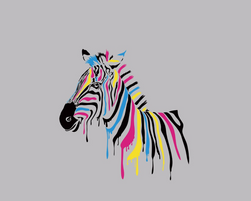Nažehlovací potisk na triko - barevná zebra