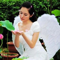 Ангелски крила към костюм