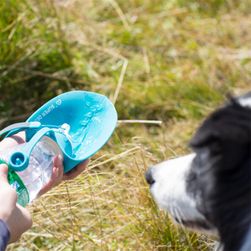 Podróżny pojemnik na wodę dla psa z silikonową miską