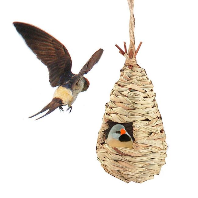 Bird's nest TV304 1