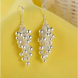 Women's earrings WA33