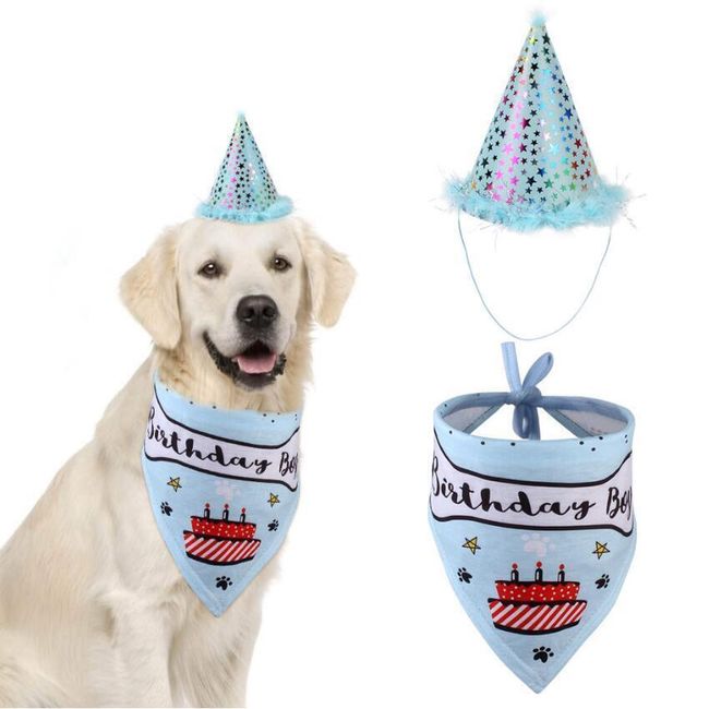 Costum zi de naștere pentru câini NKP99 1