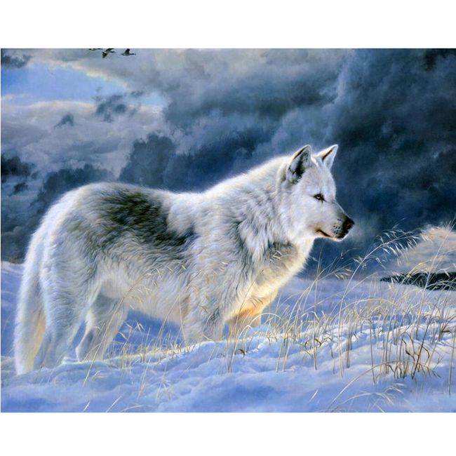 5D obraz s bílým vlkem 1