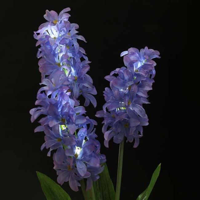 LED světelná květina - hyacint 1