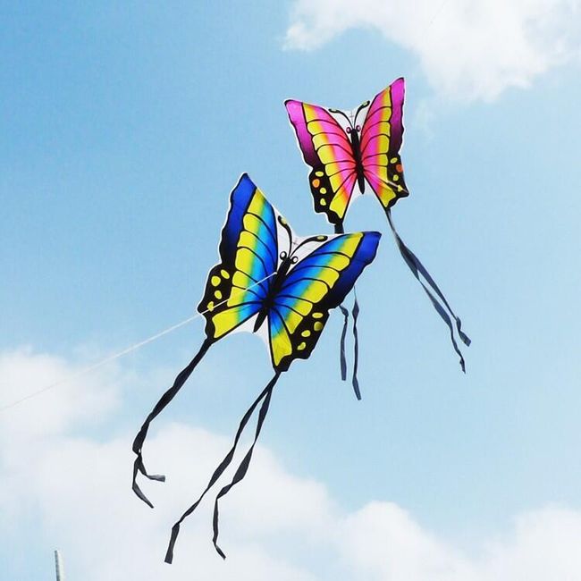 Dětský létající drak v podobě motýla - 2 barvy 1