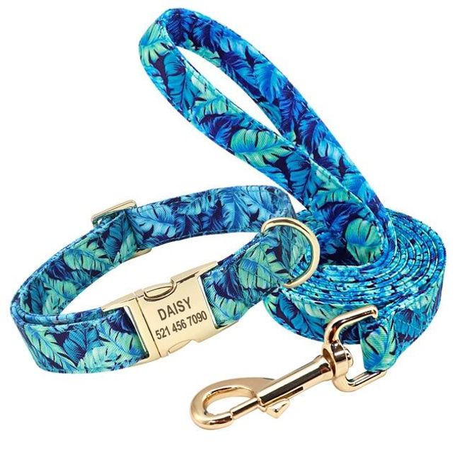 Dog leash and collar Casie 1