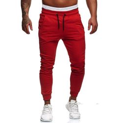 Men´s sweatpants Blaise