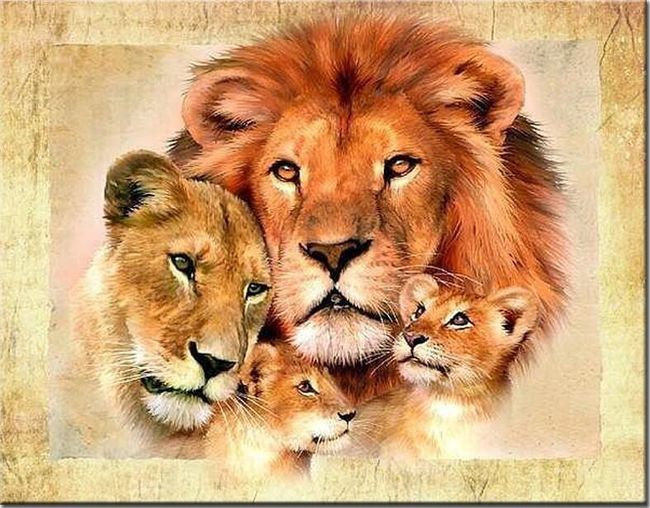 3D obraz lví rodiny 1