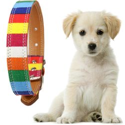 Curea colorată pentru câini